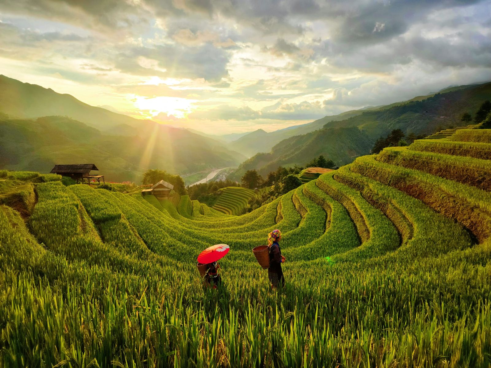 Mù Cang Chải Mùa Nào Đẹp Nhất? Kinh Nghiệm Du Lịch Theo Từng Mùa