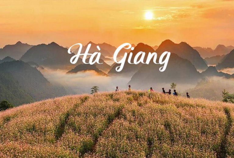 Hà Giang Mùa Nào Đẹp Nhất? Kinh Nghiệm Chọn Thời Điểm Du Lịch Hà Giang