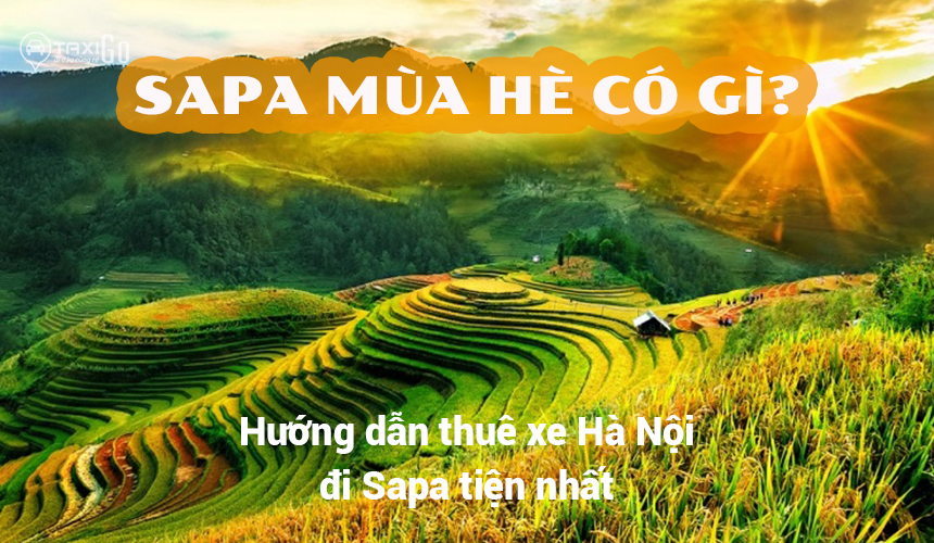 Sapa mùa hè có gì, hướng dẫn thuê xe Hà Nội đi Sapa tiện nhất