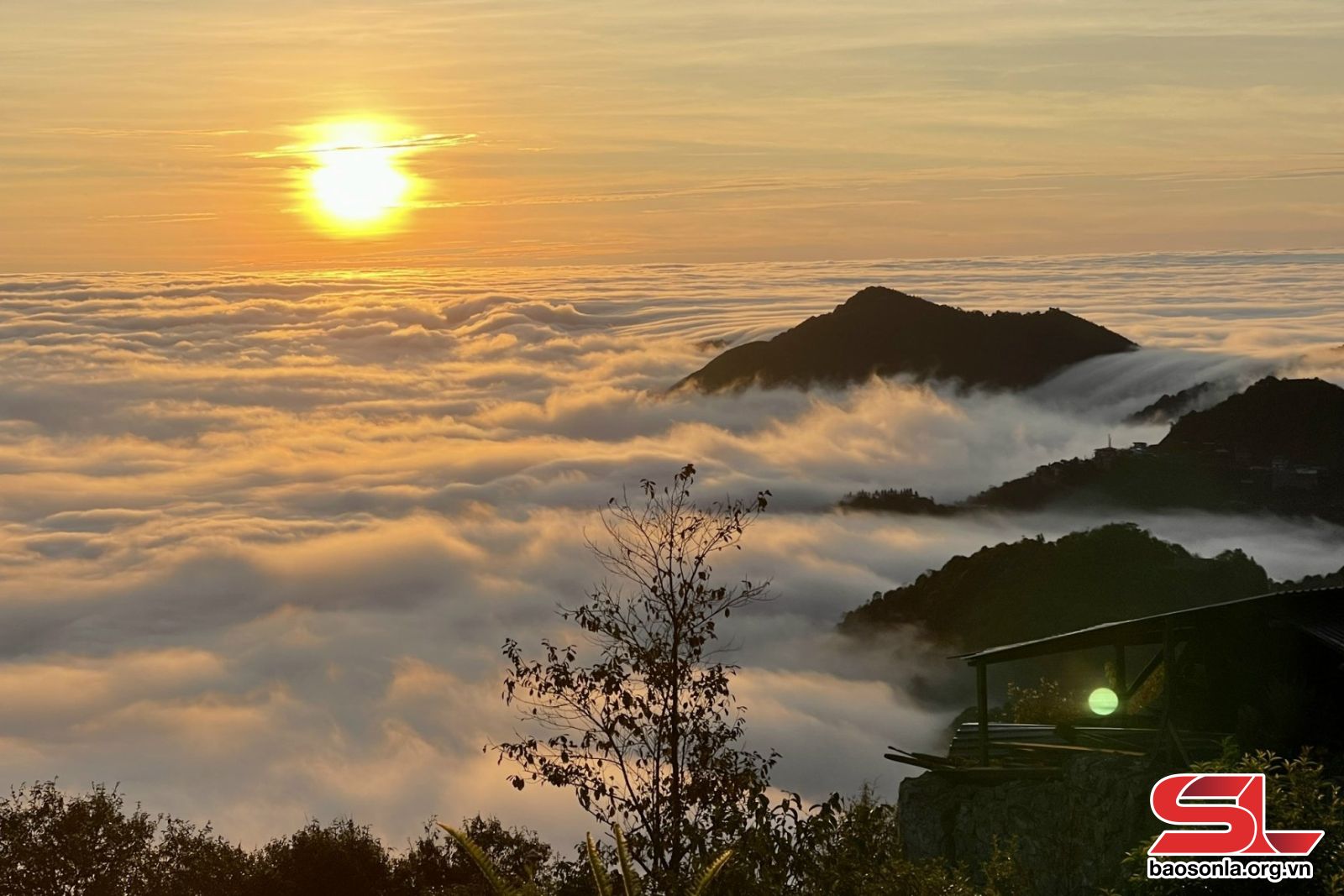 Gợi ý lịch trình du lịch Tà Xùa (Sơn La) 3 ngày 2 đêm