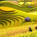 Du Lịch Mai Châu Cần Đi Mấy Ngày? Gợi Ý Lịch Trình Chi Tiết Từ A-Z