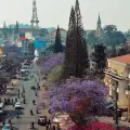 Kinh Nghiệm Du Lịch Đà Lạt Tự Túc Cho Người Đi Lần Đầu Từ A–Z